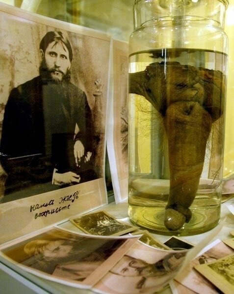 Член Григория Распутина
